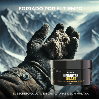 Resina de Shilajit del Himalaya Original